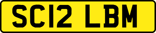 SC12LBM