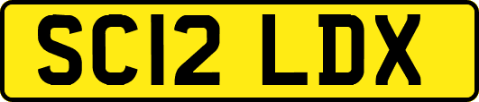 SC12LDX