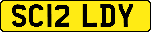 SC12LDY