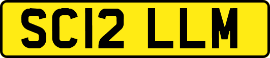 SC12LLM