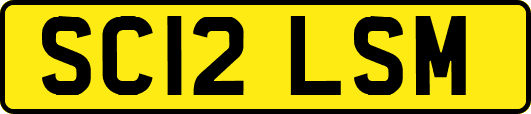 SC12LSM