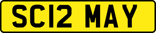 SC12MAY