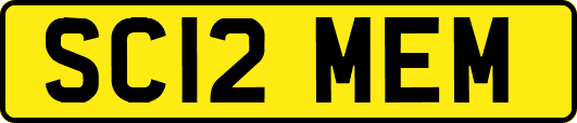 SC12MEM