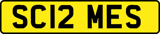 SC12MES