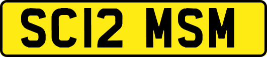 SC12MSM