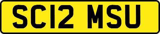 SC12MSU