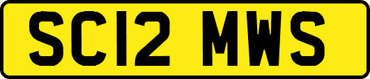 SC12MWS