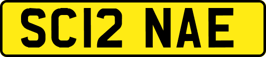 SC12NAE
