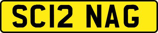 SC12NAG