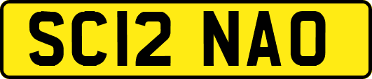 SC12NAO