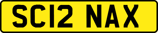 SC12NAX