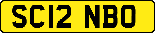 SC12NBO