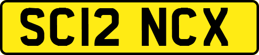 SC12NCX