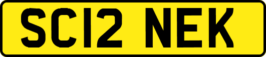 SC12NEK
