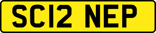 SC12NEP