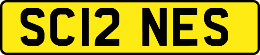 SC12NES