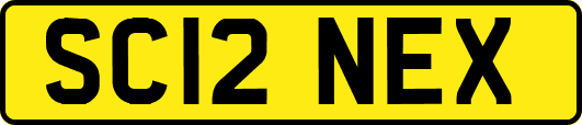 SC12NEX