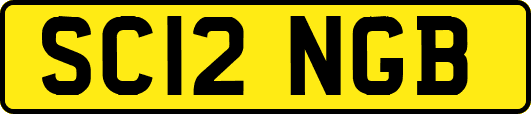 SC12NGB