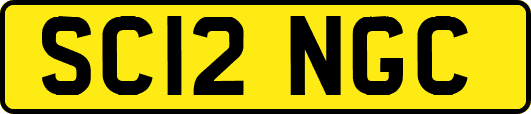 SC12NGC