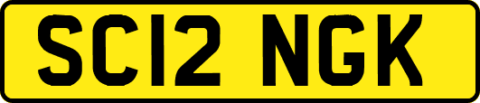 SC12NGK