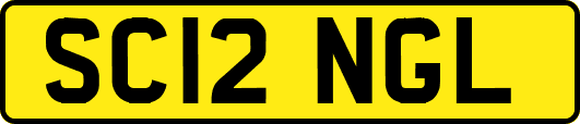 SC12NGL