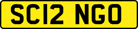 SC12NGO