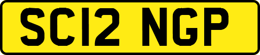 SC12NGP