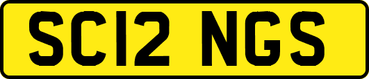 SC12NGS