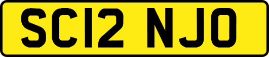 SC12NJO