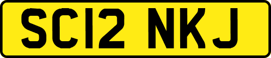 SC12NKJ