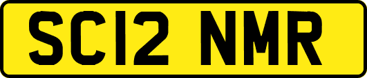 SC12NMR