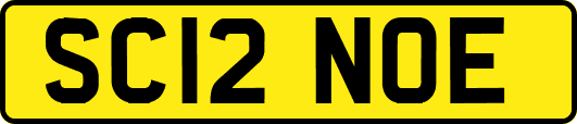 SC12NOE