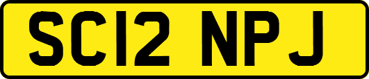 SC12NPJ