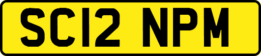 SC12NPM