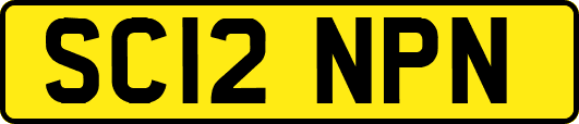 SC12NPN