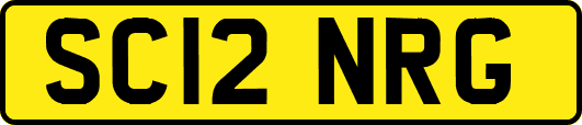SC12NRG