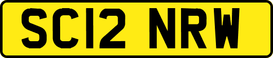 SC12NRW