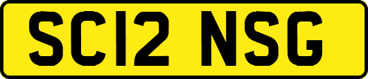SC12NSG
