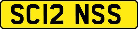 SC12NSS