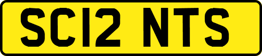SC12NTS