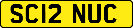 SC12NUC