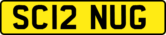 SC12NUG