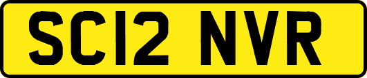 SC12NVR