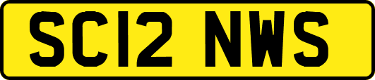SC12NWS