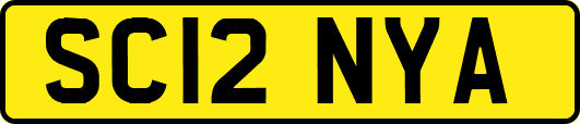 SC12NYA