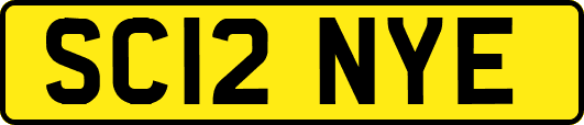 SC12NYE