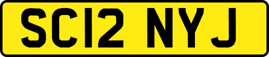 SC12NYJ