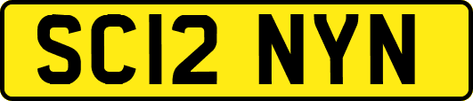 SC12NYN