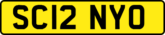 SC12NYO