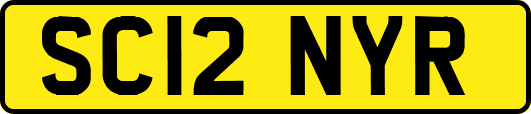 SC12NYR